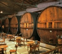 Winery